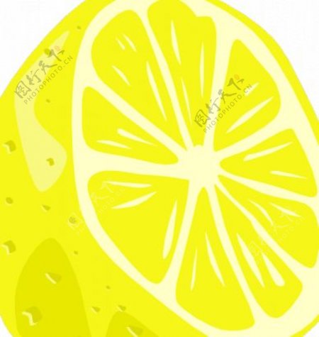 柠檬矢量图像