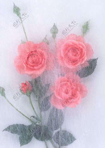 蚕丝玫瑰花