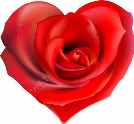 心形的红色玫瑰花矢量素材