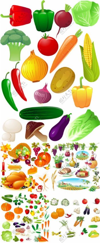 新鲜的水果和蔬菜矢量素材