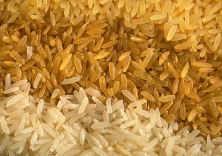 美食佳肴可口饭菜传统美食大米