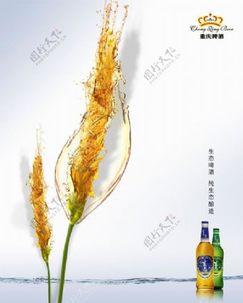 重庆生态啤酒宣传海报psd素材