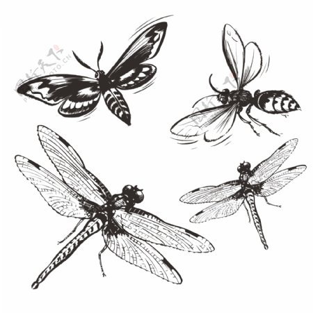 印花矢量图动物昆虫蜻蜓蜜蜂免费素材