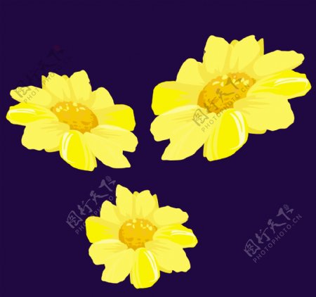 漂亮黄色花朵矢量