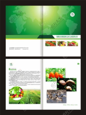 绿色环保菜篮子工程画册