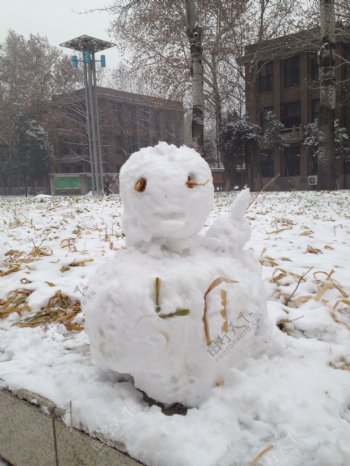 中国农业大学拍雪人图片