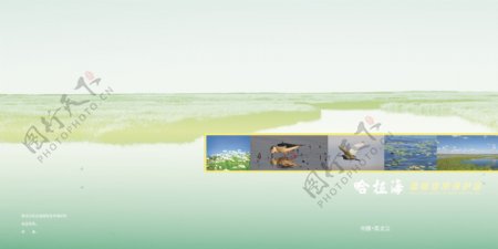 湿地画册封面平面图图片