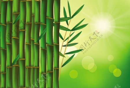 绿色手绘竹子竹叶矢量源文件下载