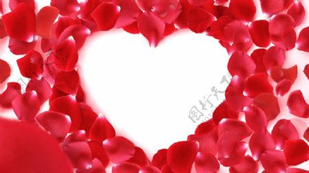 漂亮的玫瑰花瓣拼成的爱心视频素材