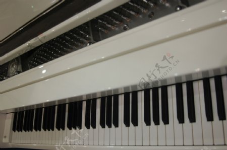 黑白键钢琴键图片