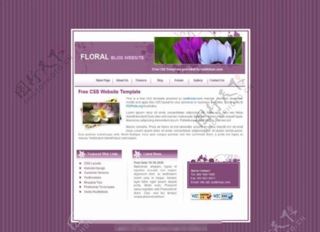 紫色花类展示网页模板