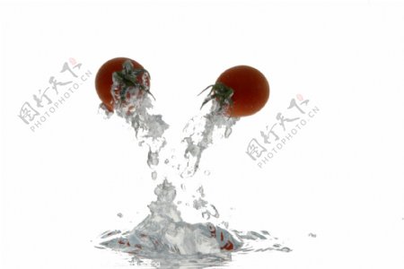 水和番茄