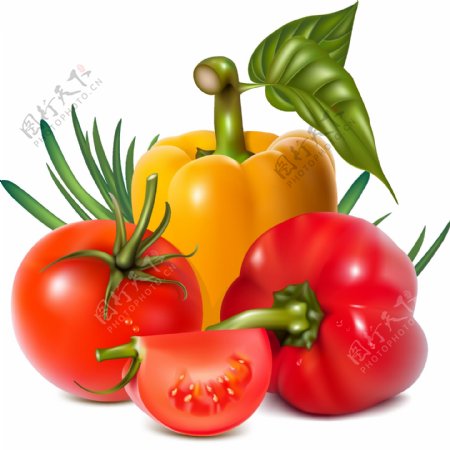 矢量新鲜蔬菜彩椒番茄图片