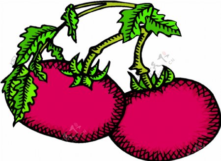 卡通蔬菜水果73