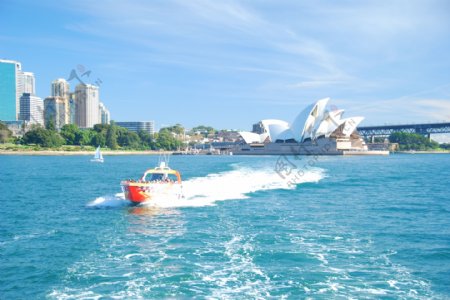 澳大利亚游艇图片
