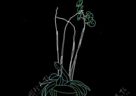 植物盆景花卉CAD饰物陈设图纸素材6