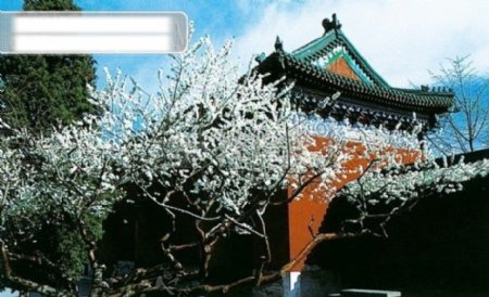 北京景色景观特色天坛古迹名胜风光建筑旅游广告素材大辞典