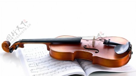 乐谱小提琴图片