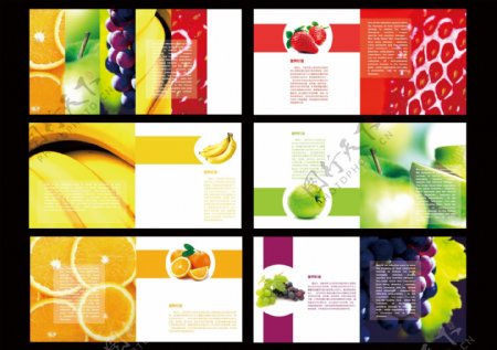 营养水果画册图片