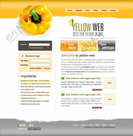 黄色简洁风格网页psd模板
