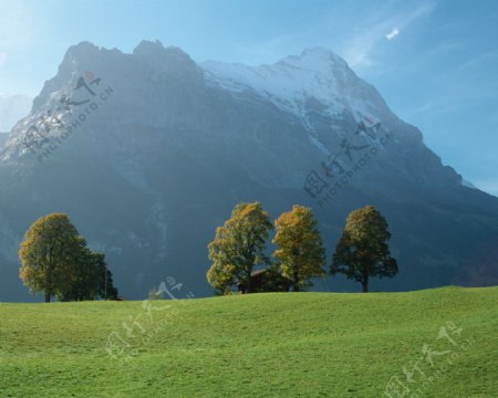 瑞士剪影图片
