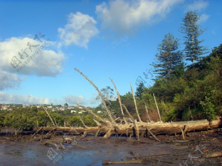 新西兰海滨风景图片