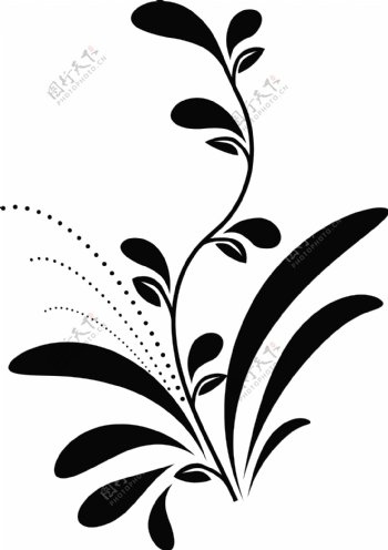 黑白植物花纹矢量素材