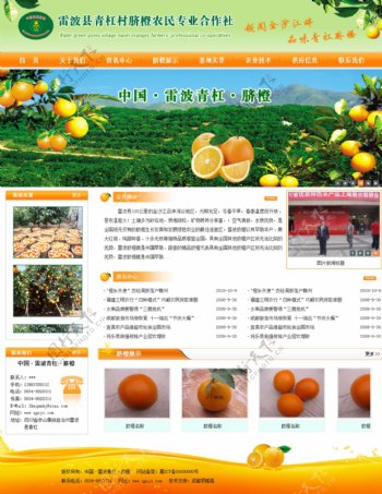 水果网站图片