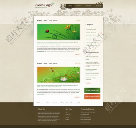 网页设计网页模版图片