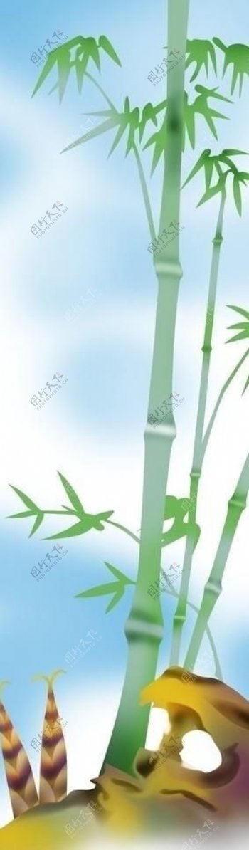 竹笋图片