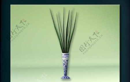 装饰构件之植物3D模型植物012