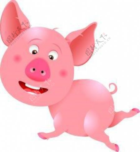 卡通动物可爱小猪PSD素材