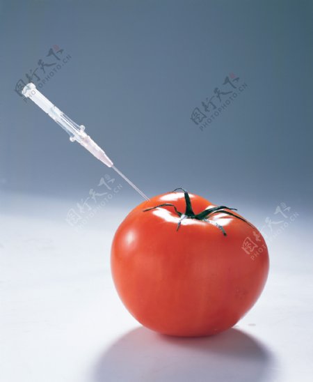 注射西红柿