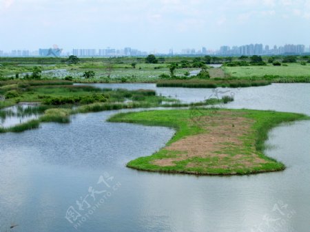 米埔溼地图片