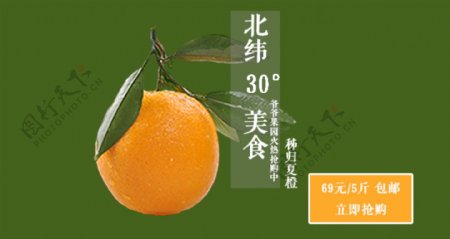 水果橙子海报图