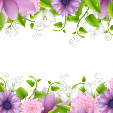 花卉植物边框背景