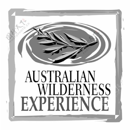 澳大利亚荒野的经验