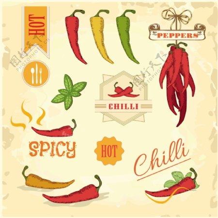 精致的辣椒食品标签矢量素材