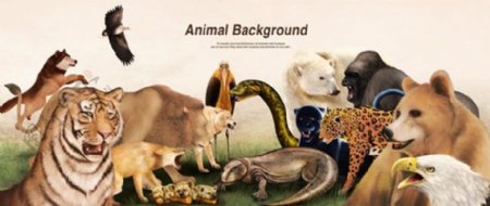 野生动物插画PSD素材