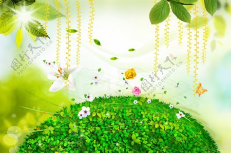 春季绿色图片