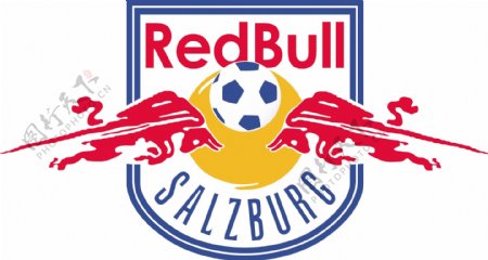 萨尔茨堡足球俱乐部
