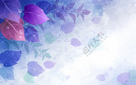 紫蓝清新淡雅花卉