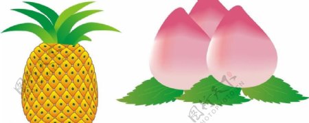 水果菠萝桃图片