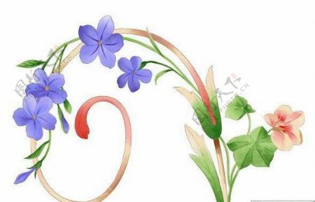 韩国手绘花卉PSD素材4