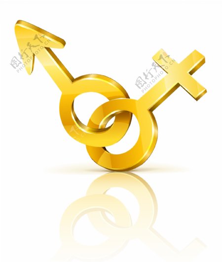 三维的男性和女性的金钥匙符号矢量