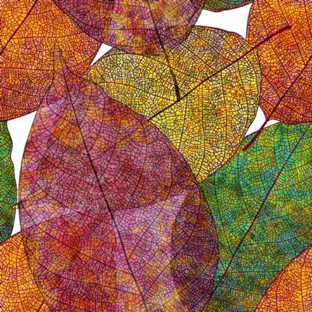秋叶树叶背景矢量素材
