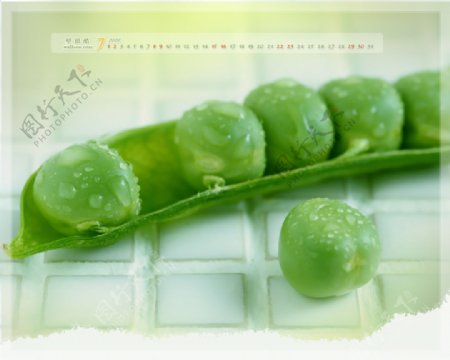 豌豆荚绿色豆子