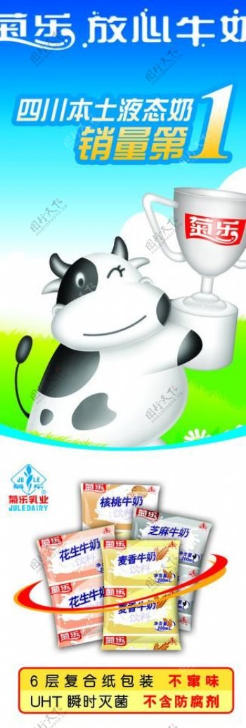 菊乐牛奶x展架图片