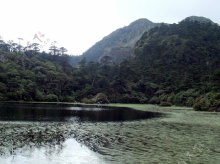 仙草湖1