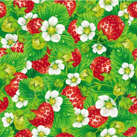 草莓葡萄水果矢量图